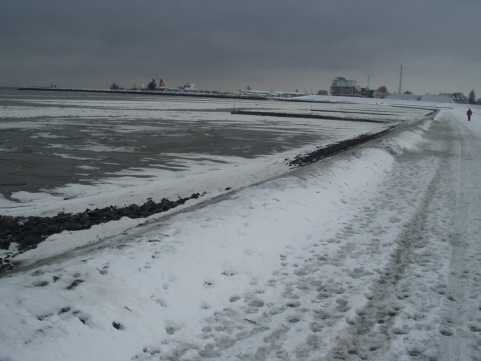P1090056-1.JPG