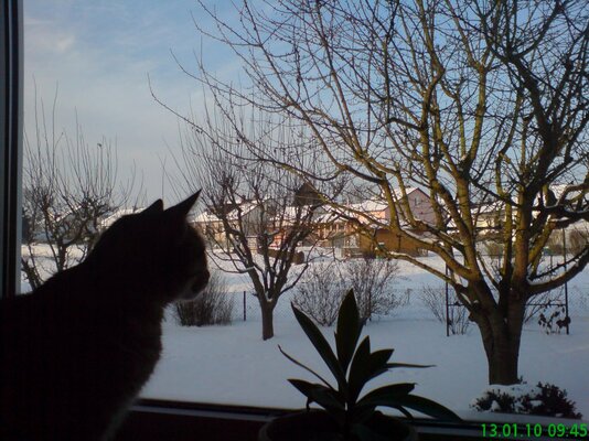 15012010 009.jpg
