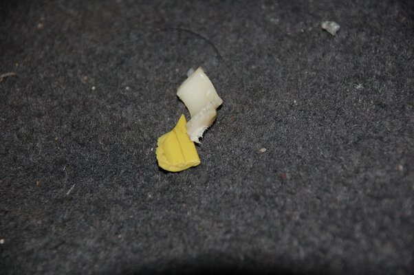 DSC_3579.jpg