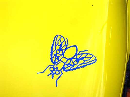 wIMG_8403.jpg