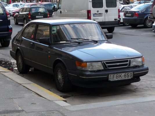 P1000831.jpg