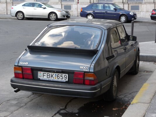 P1000832.jpg