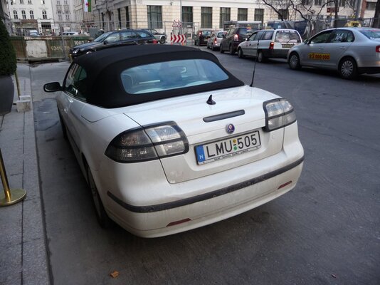 P1000835.jpg