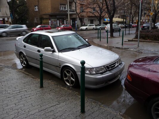 P1000838.jpg