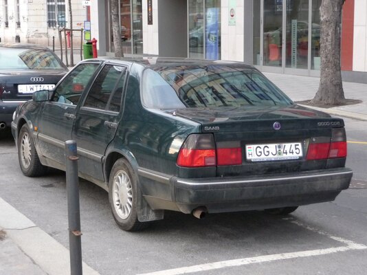 P1000847.jpg