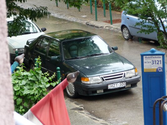 P1000923.jpg