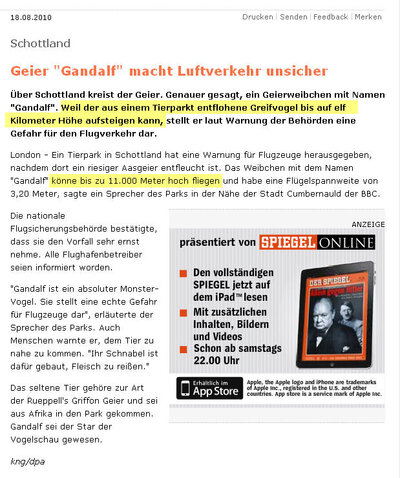 geier.jpg