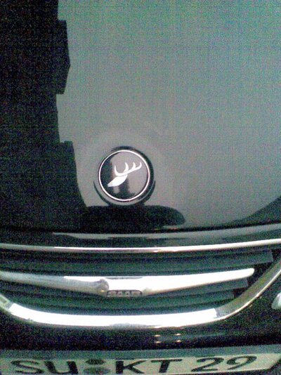Hirsch-Logo vorne.jpg