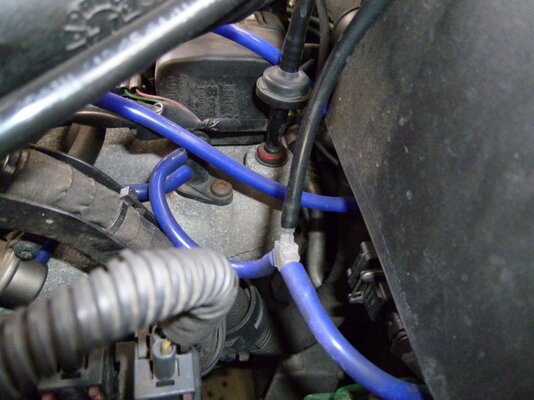 B235R #5.jpg