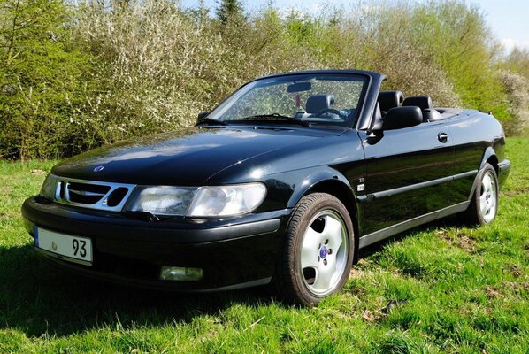 2011_9-3_Cabrio_03.jpg