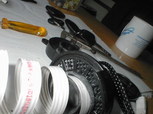 P1010008.jpg