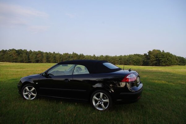 R-Saab 2011 011.jpg