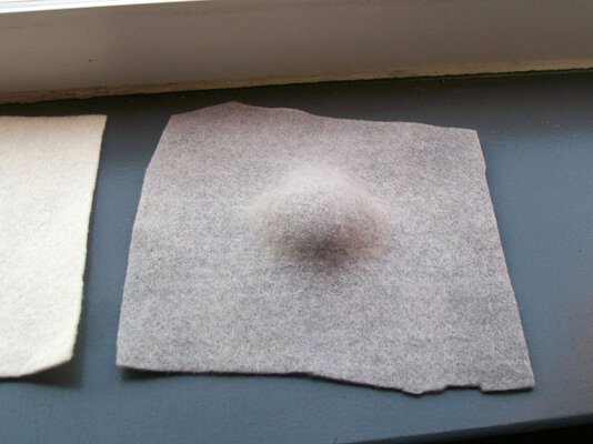 100_6794.JPG