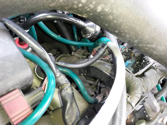 Anschluss_Motor_1.jpg