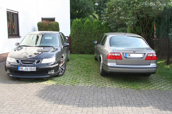 Unser Dicker hat Besuch.JPG