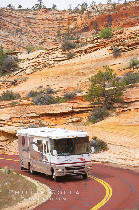 zion-national-park-utah-photo-12528-516901.jpg