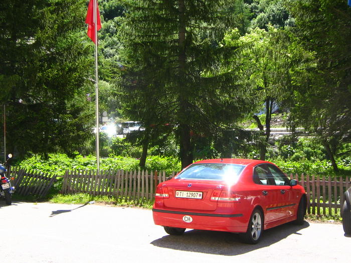 3614798.jpg