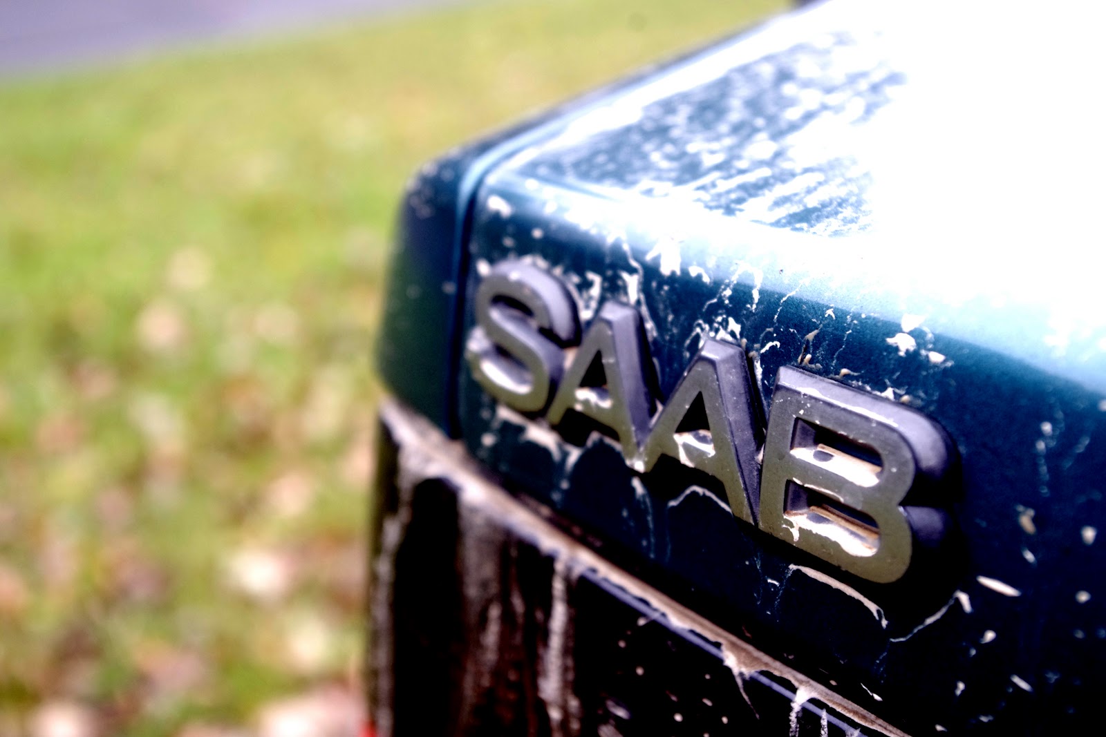 logo.JPG
