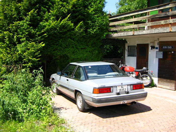 3705566.jpg