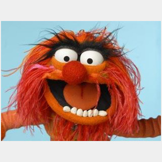animalmuppet.jpg