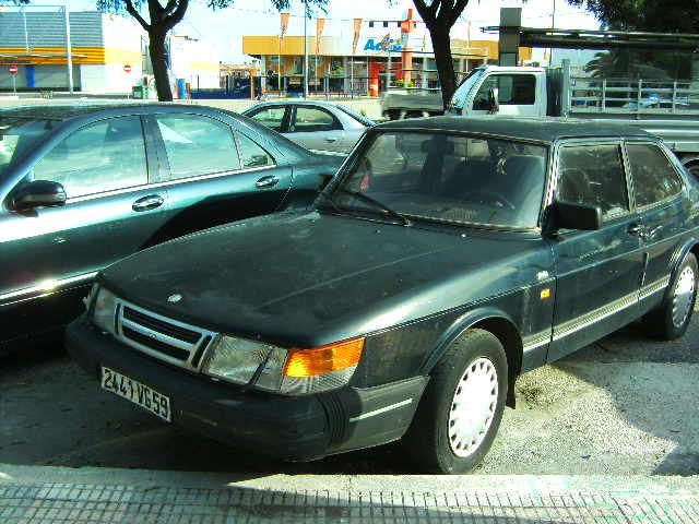3771501.jpg