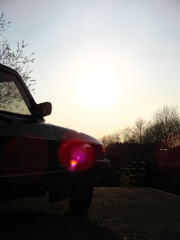 10292084ia.jpg