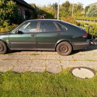 gamsaab