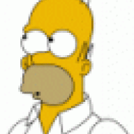 Homer_MCSM