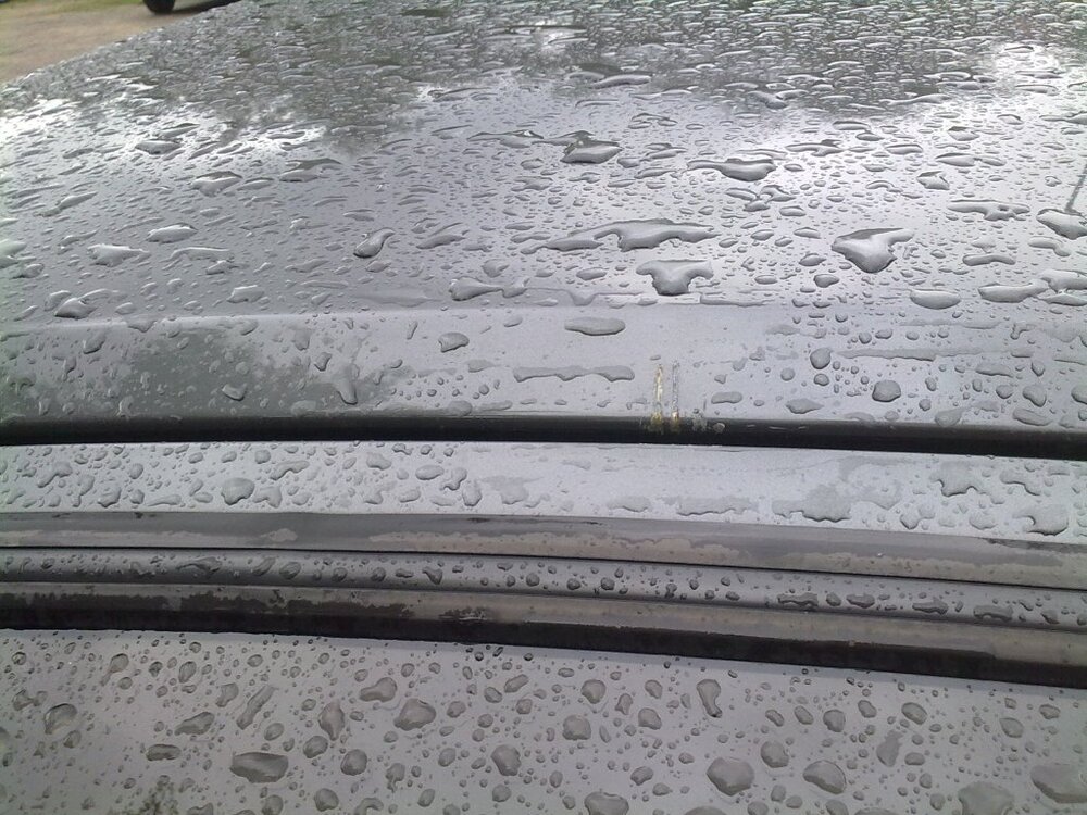 01082011426.thumb.jpg.33ee7549f43889ac7bb1a4859cc6400e.jpg