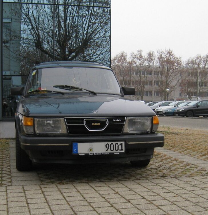 01_SommerNase.thumb.jpg.cc249c5631012702ea73dc0c170518d1.jpg
