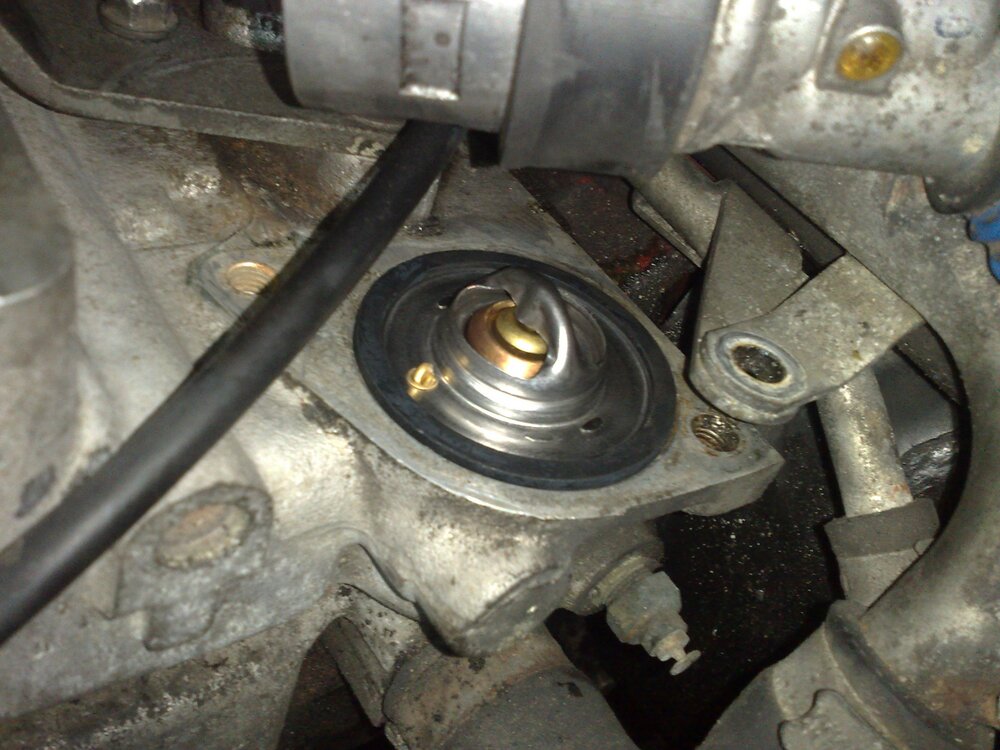 03092009396.thumb.jpg.fe9d8bf31fcec412a94d973355f939f2.jpg
