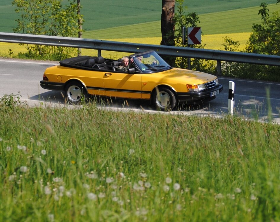 041-BlumenpflueckenVerboten.thumb.jpg.7cc60f4e3daee77df4e90a2df03494fc.jpg