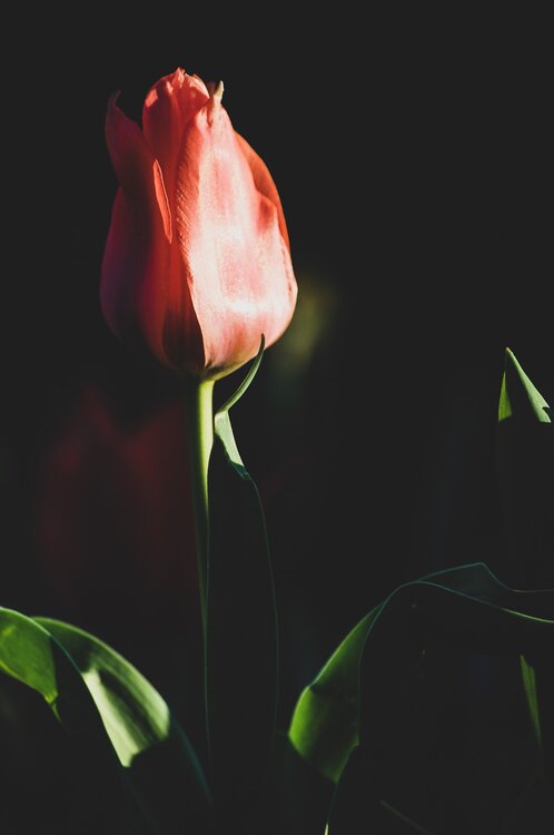 05AA3DA3-B807-4A0D-ADE7-31C017152F83.thumb.jpeg.4a8f91d4114ed8fa1294088e8ad2417d.jpeg