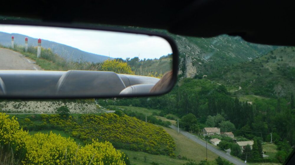 05ProvenceimGinstergelb.thumb.jpg.354e3b608070779a8444a13f4deedc34.jpg