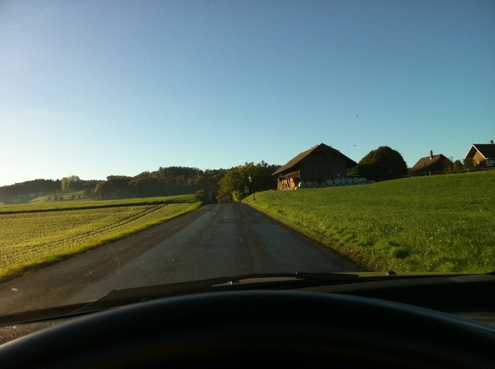 05_10.2017_Morgen.thumb.jpeg.fa8678491380f18f35f420ce32f4e93e.jpeg
