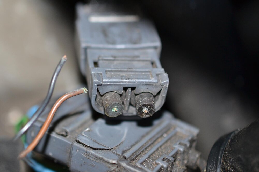 06-Stecker-vomKabel-ist-komplett-abgerissen.thumb.JPG.4a611cc184f6cb18b23814c174455c8e.JPG