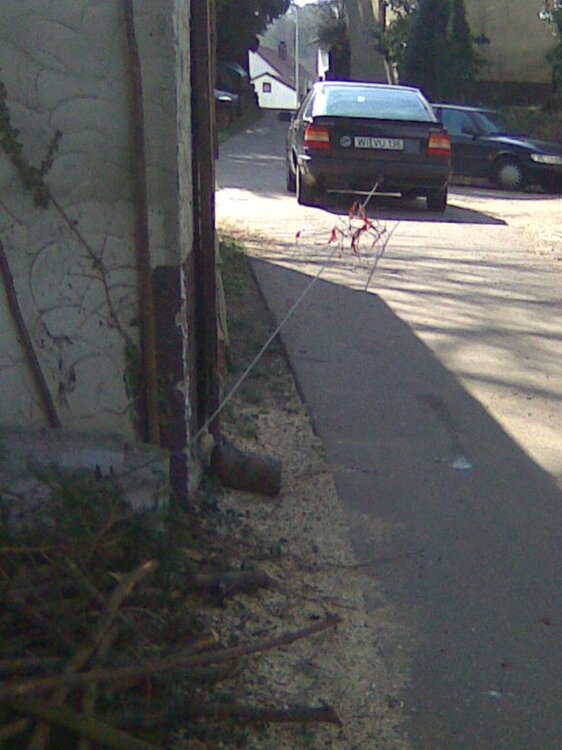 076.thumb.jpg.e79aff7f1dba0d4565e4ab2f17c22f52.jpg
