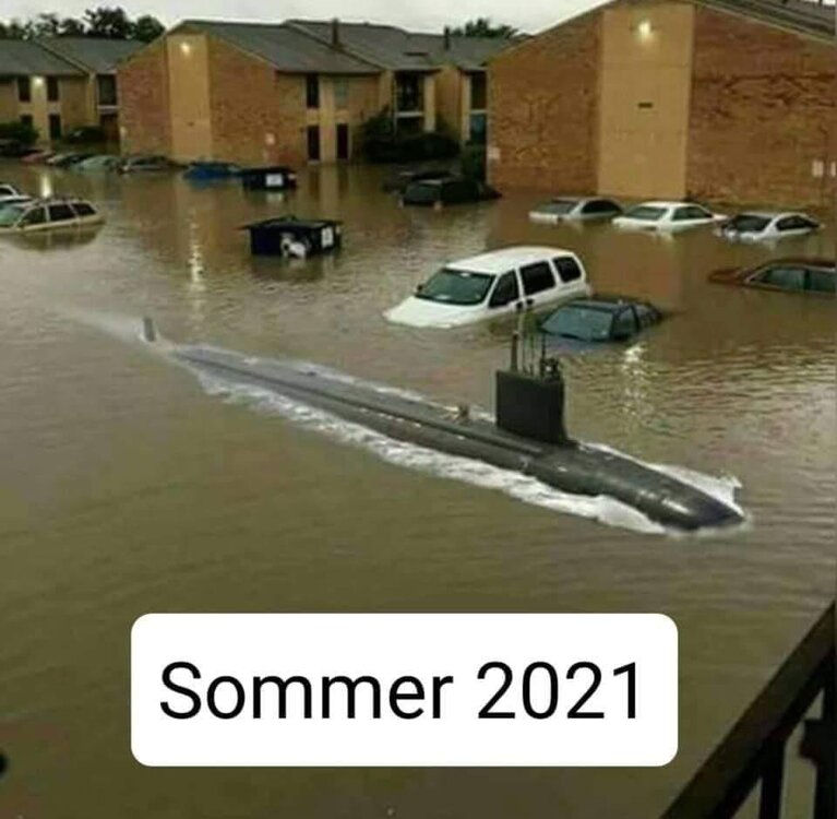 09A58C08-2F4B-40E9-A596-6CE6F97057E8.thumb.jpeg.5224b3325463de14fa33562981dbd734.jpeg