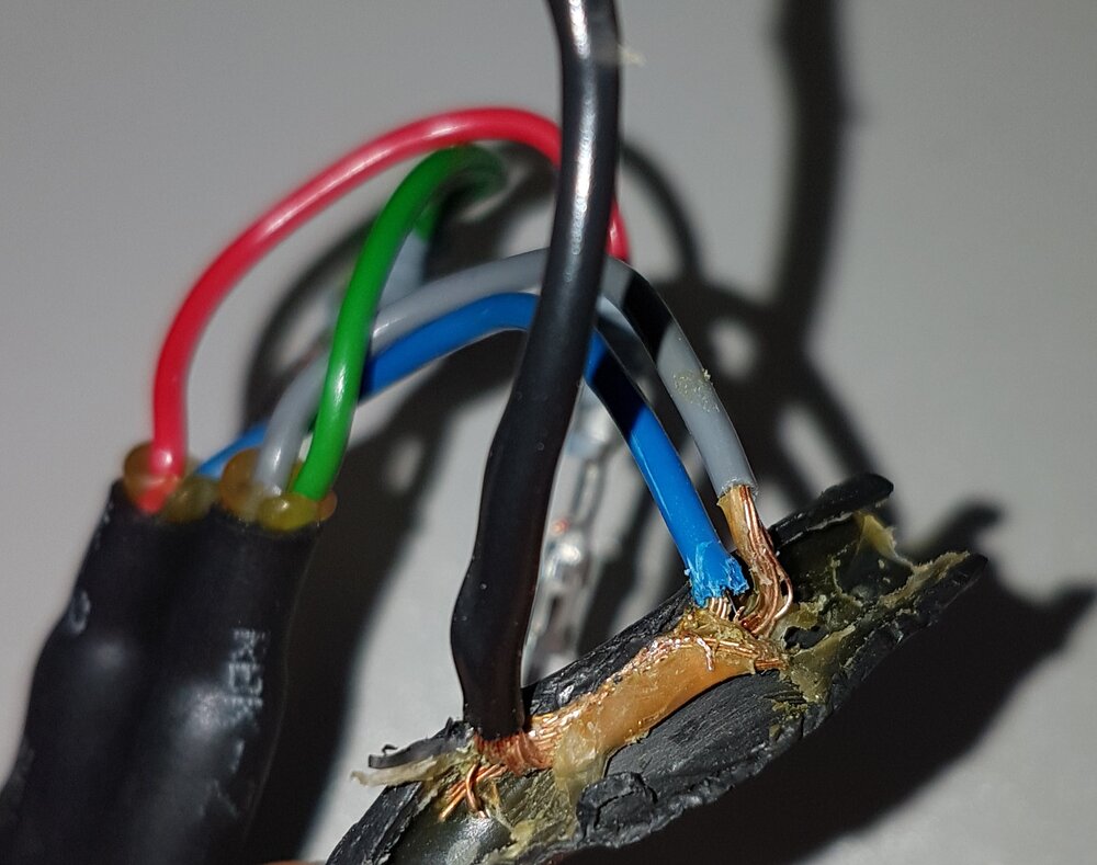 1.thumb.jpg.34dddce6d675ca8f2c9374be3a930bbb.jpg