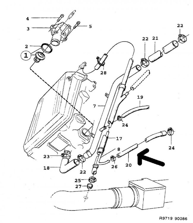 1.thumb.jpg.67a1c768bb94f409a1d7273c066d4531.jpg