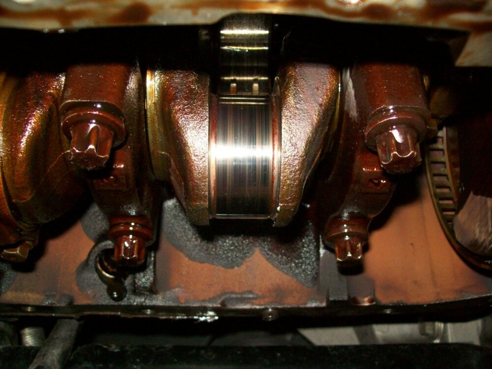 100_0115.thumb.jpg.e662bd0a454a45f997ffba73d1cd8316.jpg