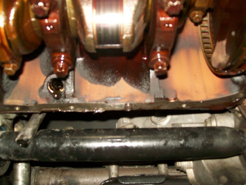 100_0117.thumb.jpg.ac7bce1ad91dc114f75ce43a3260aede.jpg