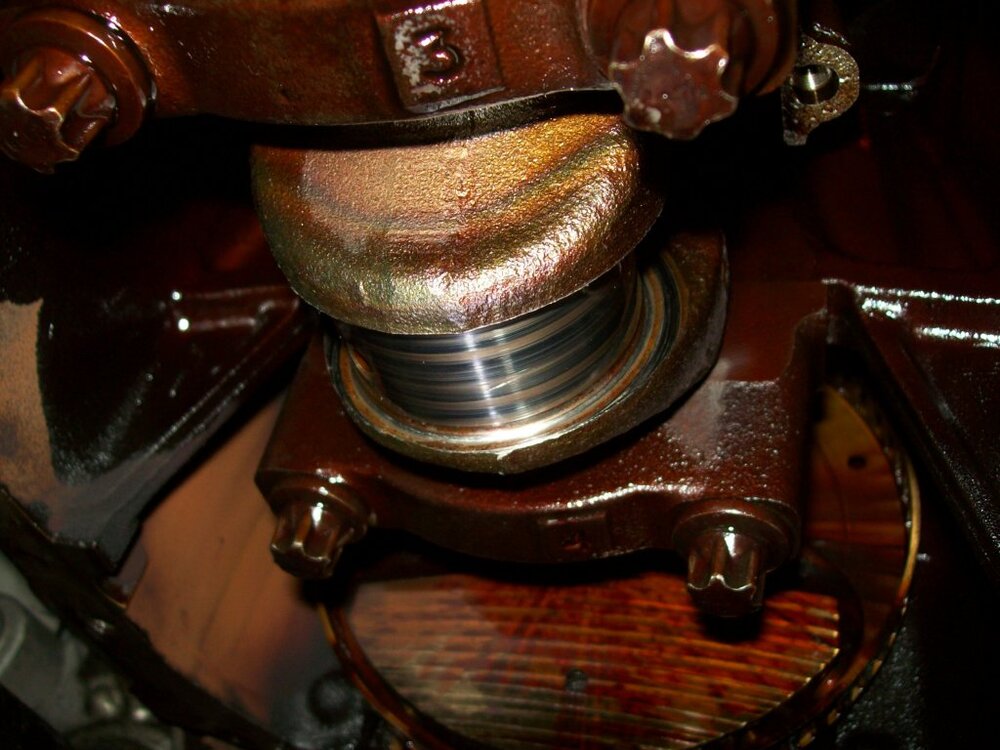 100_0125.thumb.jpg.cbc7f829b9c99ee076a67e8d3d698f4e.jpg