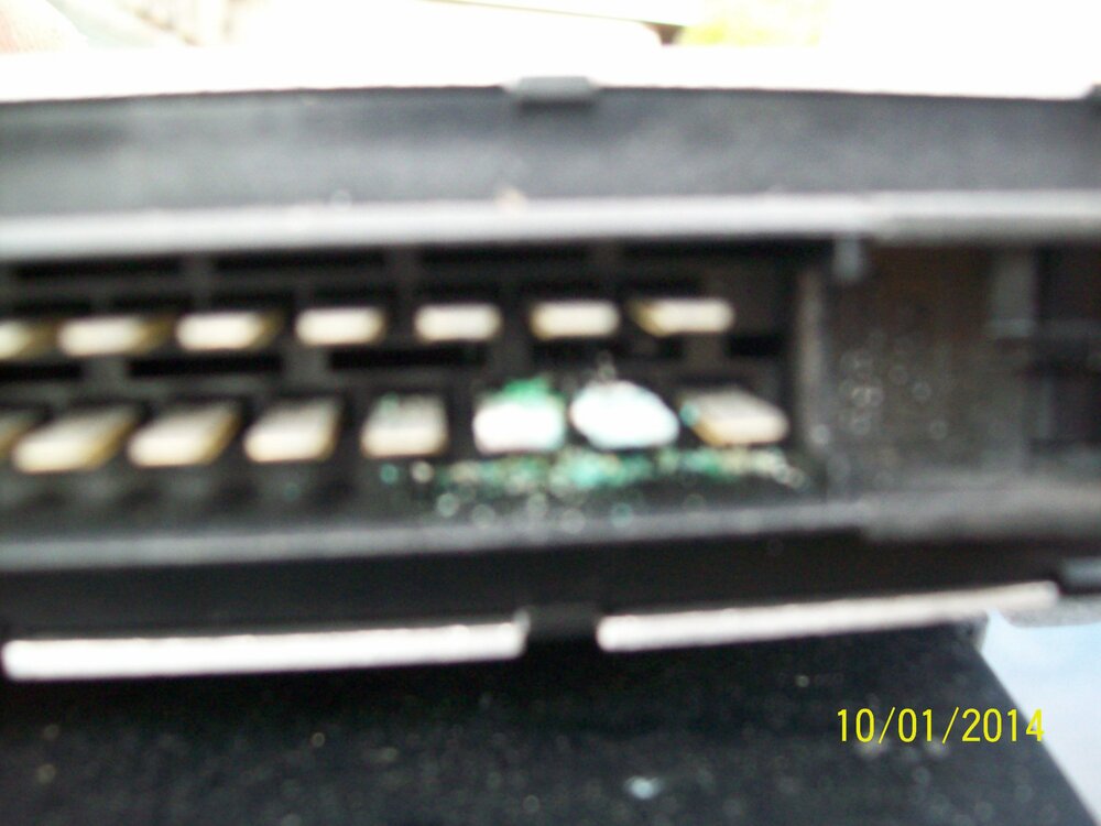100_0486.thumb.JPG.50260f8ec8780482da438d6f08c2baee.JPG