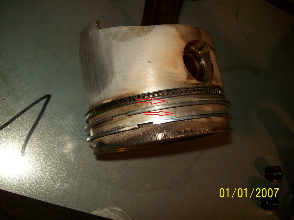 100_0819.thumb.JPG.ea589a5354ed793e5427dee37550254f.JPG
