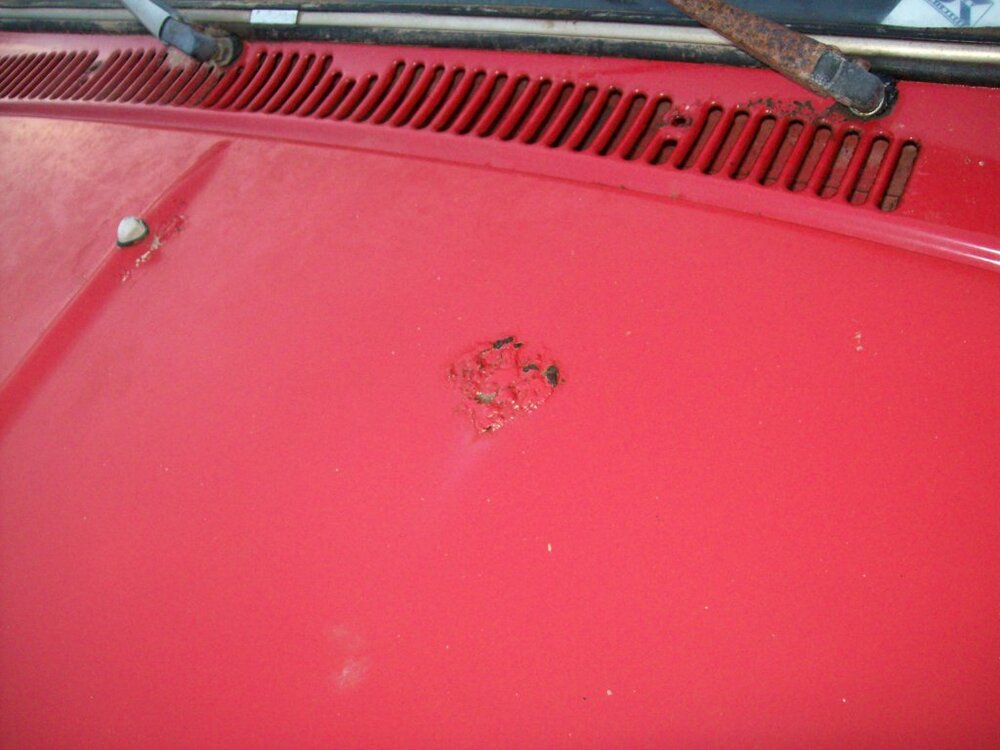100_2553.thumb.jpg.5ce004d2ffc09ee992b026452dbdc689.jpg