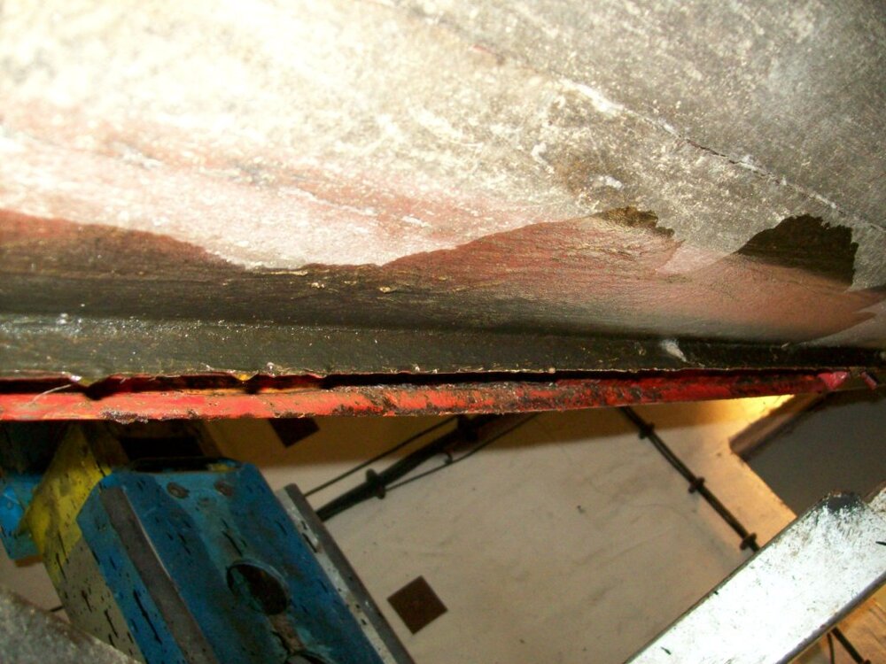 100_2597.thumb.jpg.e1f50ca59e93337aaf53b1714708a727.jpg