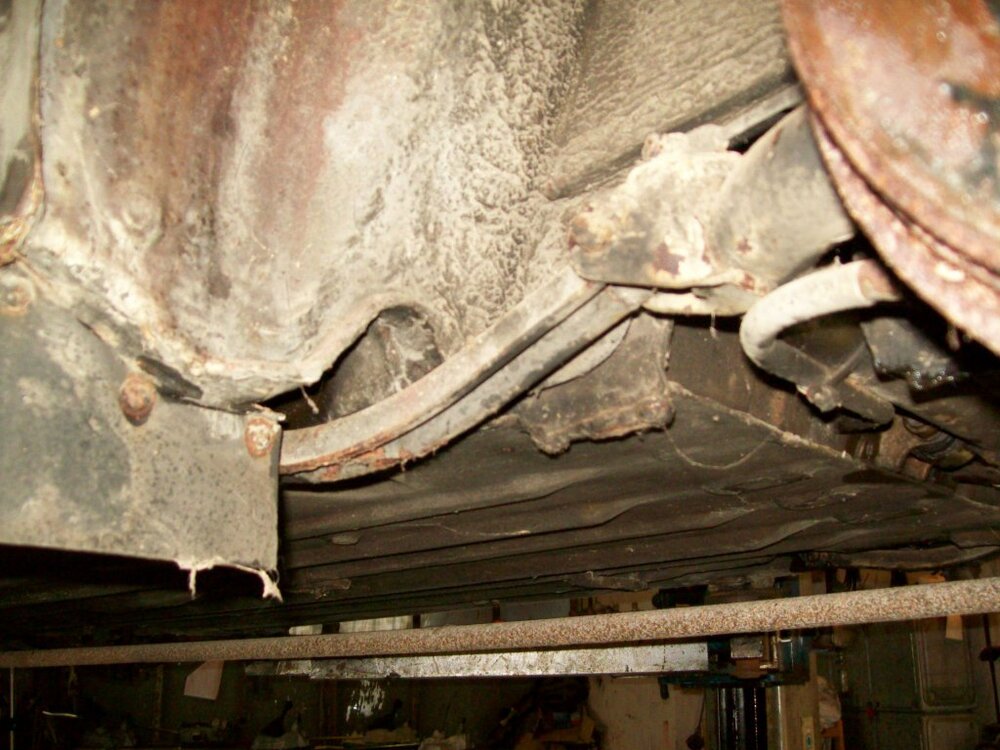 100_2610.thumb.jpg.147b0d5916830fee1ff4996cad34ae6b.jpg