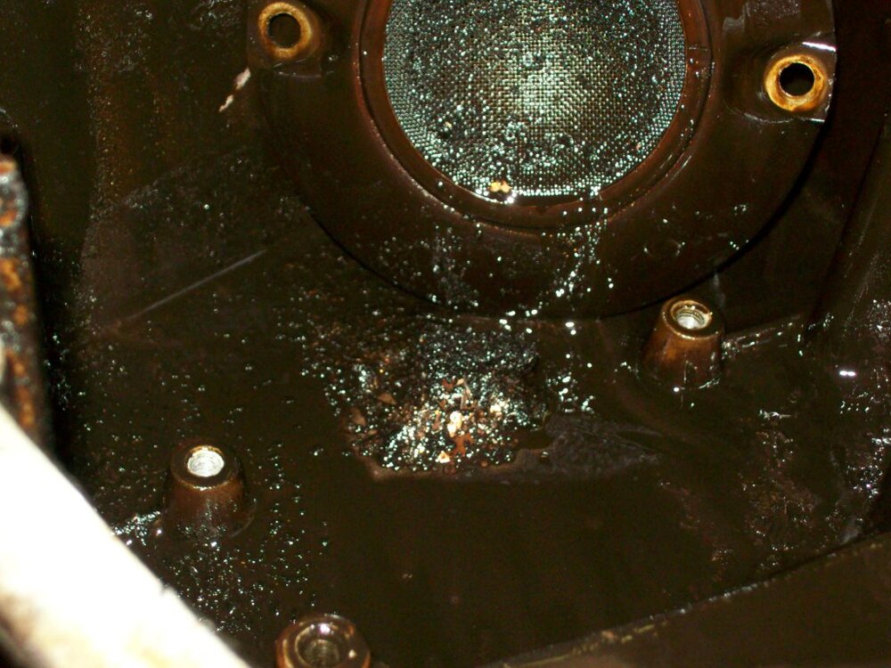 100_2815.thumb.jpg.eaa008f642d6bc2877eb3f23b0f09298.jpg