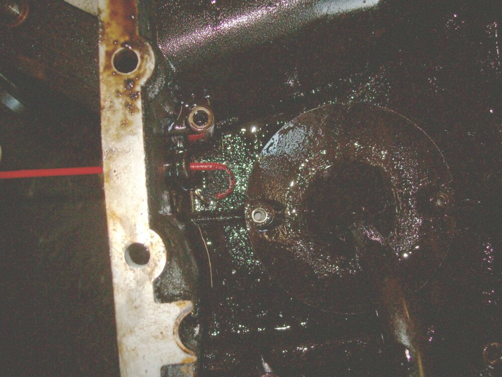 100_2823.thumb.jpg.2ab1cab3f211459caf74c19a93dc05a7.jpg
